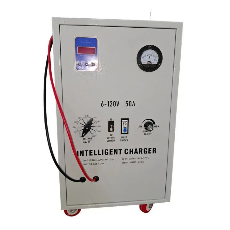 Heavy Duty Auto Battery Charger