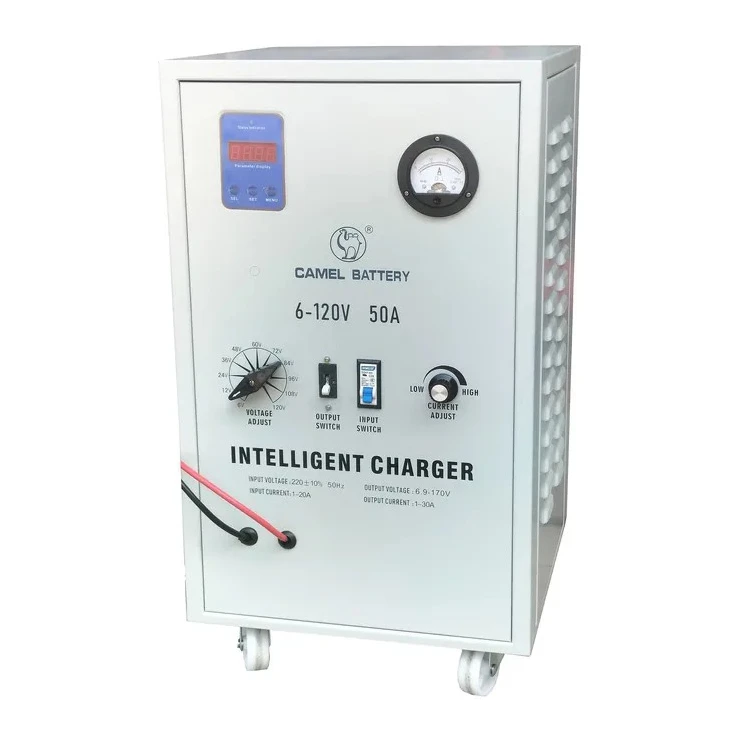 Heavy Duty Battery Charger 12 24v