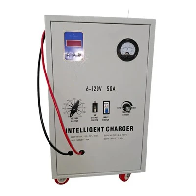 Heavy Duty Auto Battery Charger