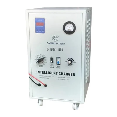 Heavy Duty Battery Charger 12 24v